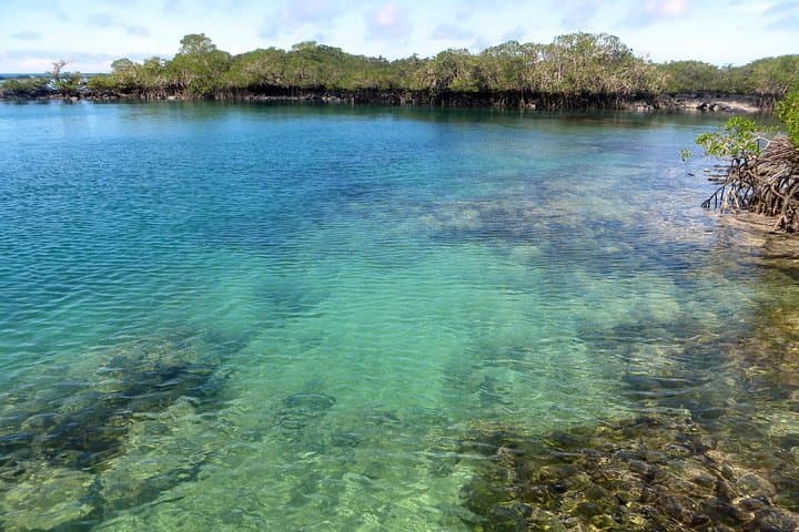 5-Day Galapagos Land Tour: Isabela & Santa Cruz Highlights photo 3