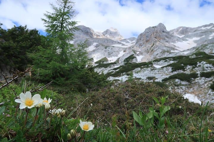 Guided Mount Triglav Summit Climb — 2-Day Summer Via Ferrata Adventure photo 4
