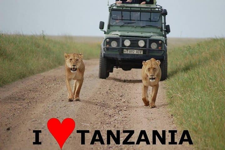 6-Day Tanzania Lodge Safari to See the Great Migration