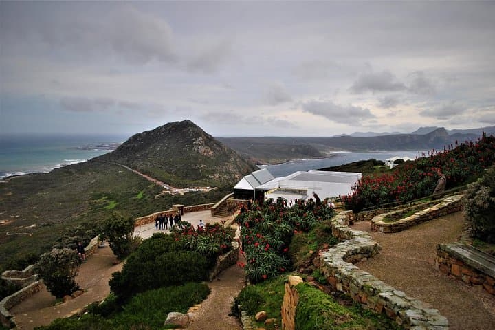 Cape Peninsula Coastal Tour: Cape Point, Boulders Penguins & Hout Bay