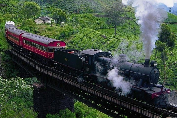 Discover Sri Lanka: 8-Day Cultural & Nature Circuit from Colombo photo 3