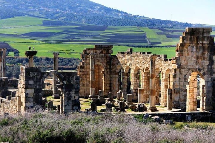 Day Trip from Fez to Volubilis, Moulay Idriss & Meknes: Roman Ruins & Imperial Streets photo 2