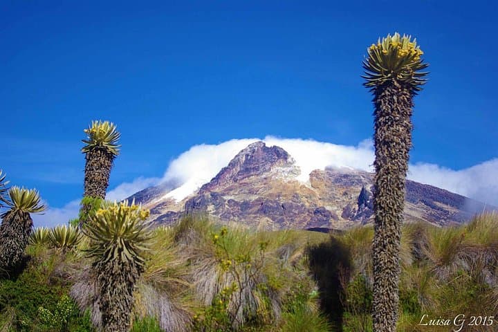 High-Altitude Trekking in Los Nevados National Natural Park — 3-Day Paramo & Volcano Summit