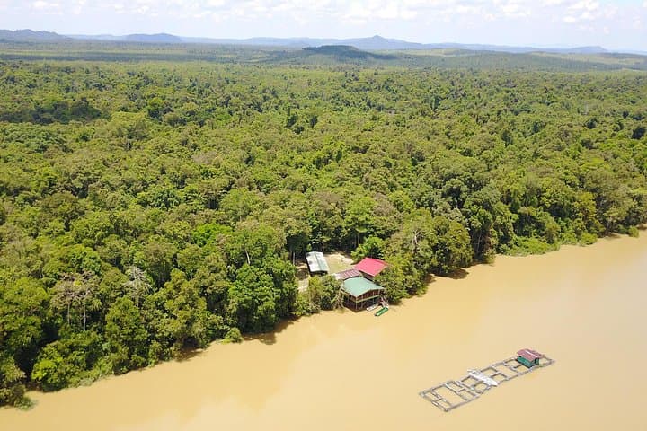 Tanjung Bulat Jungle Camp: 2-Day Kinabatangan Wildlife Immersion photo 4
