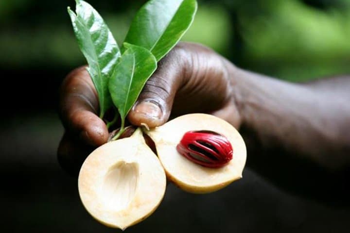 Stone Town & Spice Tour: Half-Day Zanzibar Walking & Spice Farm Experience photo 4
