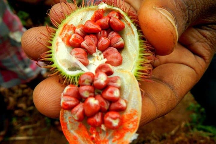 Stone Town & Spice Tour: Half-Day Zanzibar Walking & Spice Farm Experience photo 2