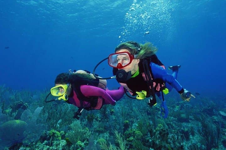 Alanya Scuba Diving: 2-Dive Boat Tour to Reefs, Wrecks & Caves (Side, Antalya) photo 1