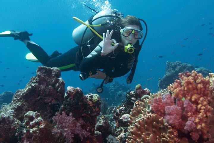 Diving in Kusadasi — Shallow Aegean Scuba & Snorkel Boat Trip photo 4
