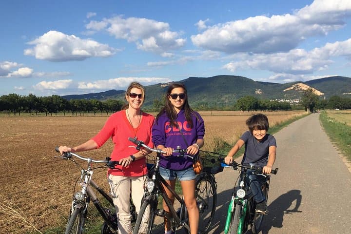 Heidelberg to Ladenburg Bicycle Tour — Roman Ruins, Carl Benz & Country Lanes