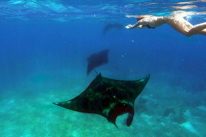 4-Day Private Komodo Boat Tour: Dragons, Mantas & Pink Beach photo 2