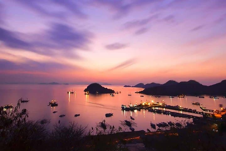 4-Day Private Komodo Boat Tour: Dragons, Mantas & Pink Beach photo 3
