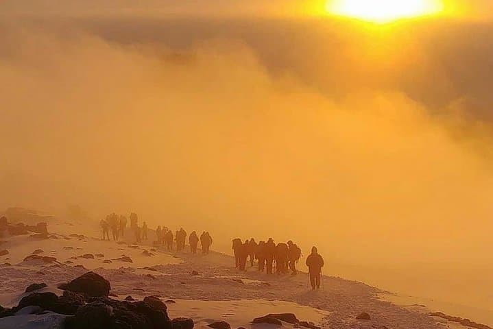 Rongai Route Kilimanjaro: 6-Day Ascent to Uhuru Peak via Rongai photo 4