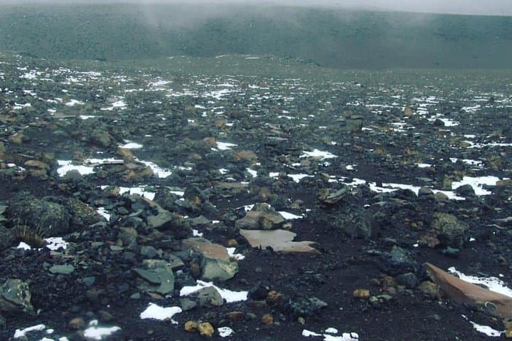 Rongai Route Kilimanjaro: 6-Day Ascent to Uhuru Peak via Rongai photo 6