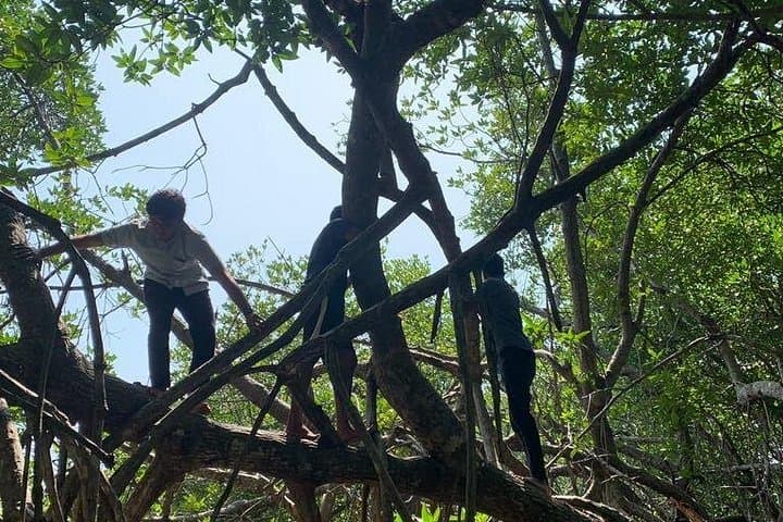 Bentota Mangrove Boat Adventure: Wildlife & Estuary Cruise photo 5