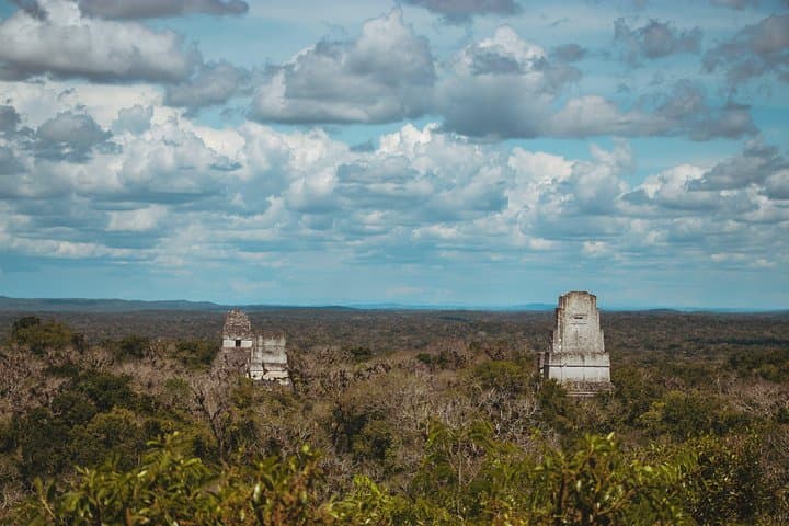Tikal Day Tour from Antigua — Explore Maya Temples & Jungle Wildlife photo 4