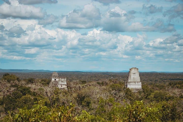Tikal Day Trip from Guatemala City - Temples, Monkeys & Jungle Views photo 5