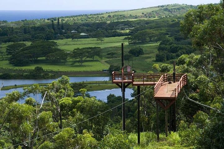 Koloa Zipline Kauai: Soar Over Waita Reservoir and Native Forest Canopy photo 6