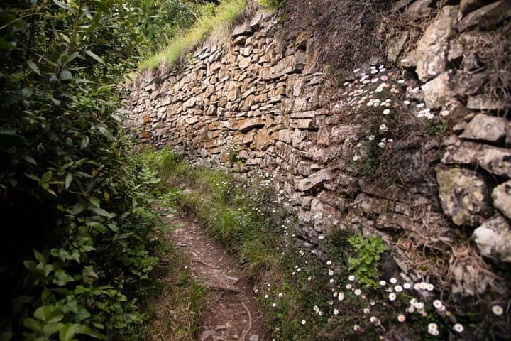 Lake Como Cruise and Castello di Vezio Hike from Bellagio photo 5