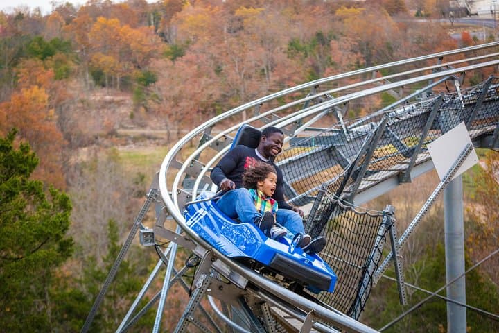 Ride the Runaway: Branson Alpine Mountain Coaster Guide photo 3