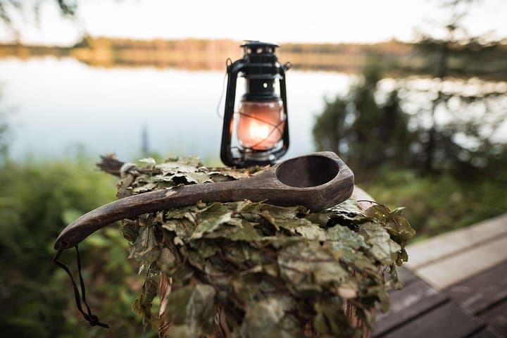 Full-Day Lapland Experience: Ranua Wildlife Park, Finnish Sauna & Open-Fire Dinner