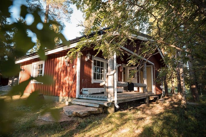 Full-Day Lapland Experience: Ranua Wildlife Park, Finnish Sauna & Open-Fire Dinner photo 3