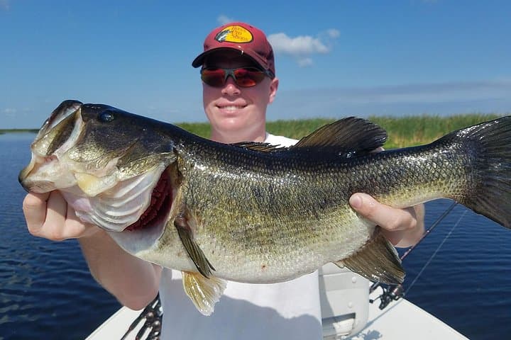 All-Day Lake Okeechobee Bass Fishing Trip from Fort Pierce photo 5