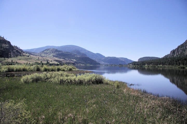 Vaseux Lake Discovery Tour: Okanagan Valley Birding, Grasslands & Boardwalk Walk