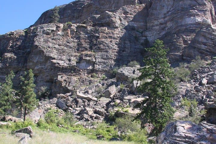 Vaseux Lake Discovery Tour: Okanagan Valley Birding, Grasslands & Boardwalk Walk photo 2