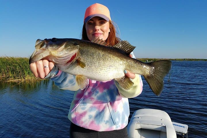 Lake Okeechobee All-Day Bass Fishing Charter from West Palm Beach photo 4