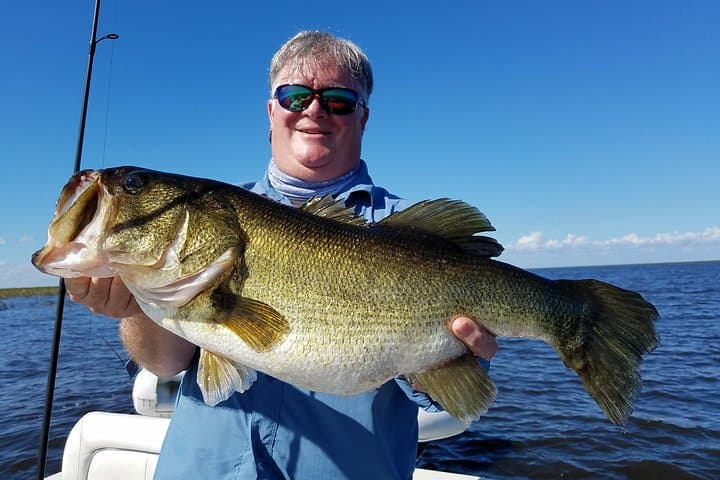 Lake Okeechobee All-Day Bass Fishing Charter from West Palm Beach photo 6