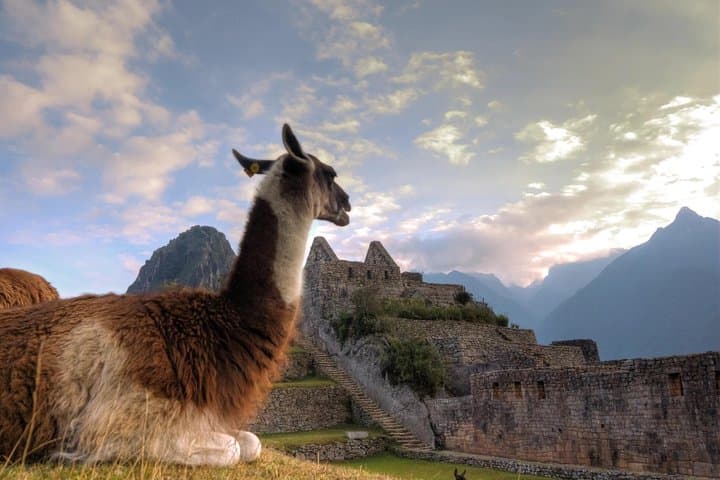 Private Machu Picchu Full-Day Tour from Cusco: Train, Guide, and Bus photo 5