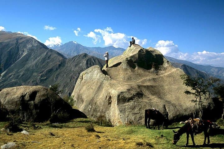 Apurimac Canyon Condor Viewing From Cusco: Full-Day Wildlife Excursion photo 4