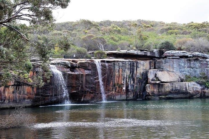 Royal National Park Private Tour — Wedding Cake Rock, Wattamolla & Wildlife photo 2