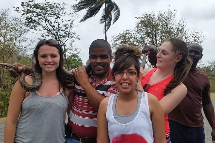 St Lucia Shore Excursion: Half-Day Land & Sea Tour to Soufrière, Pitons & Snorkeling photo 3