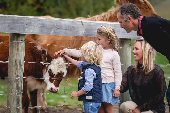 Queenstown Lake Cruise and Walter Peak Farm Adventure photo 5