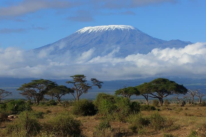 Silent Shira: Kilimanjaro Northern Circuit 11-Day Trek