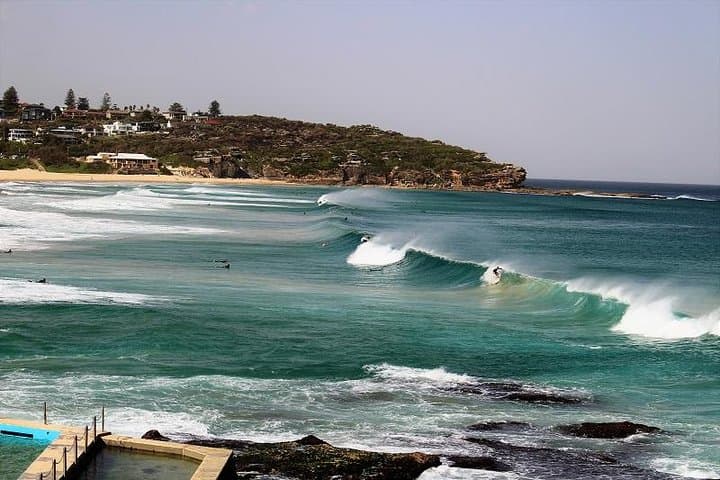 Private Northern Beaches and Ku‑Ring‑Gai Chase Day Tour photo 5
