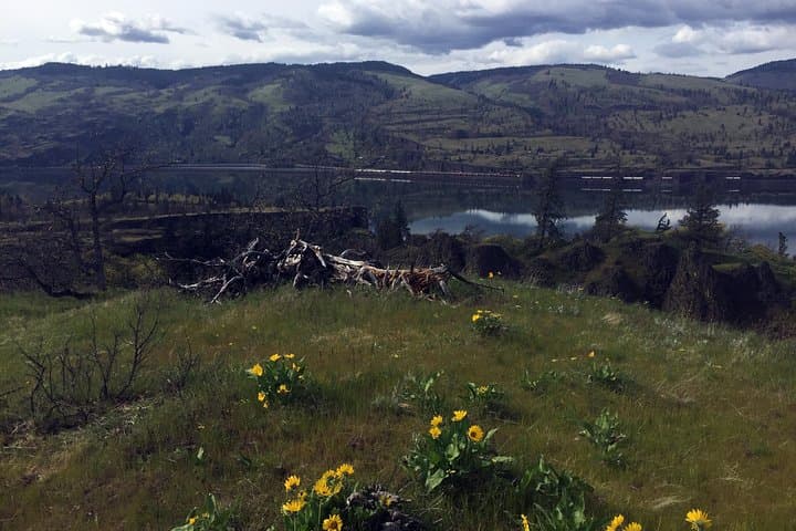 Full-Day Columbia Gorge Hiking: Waterfalls, Basalt Cliffs & Guided Trails