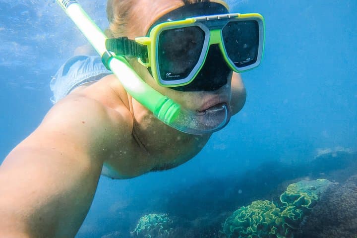 Turtle Discovery: Great Sandy Marine Park Glass-Bottom Cruise from Hervey Bay photo 2