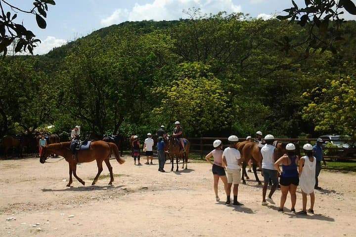 Green Grotto Caves and Horseback Ride with Beach Swim from Falmouth photo 2