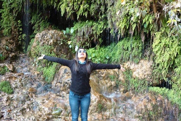Mussoorie Nature Walk: 2-Hour Guided Trail Through Himalayan Woods photo 3