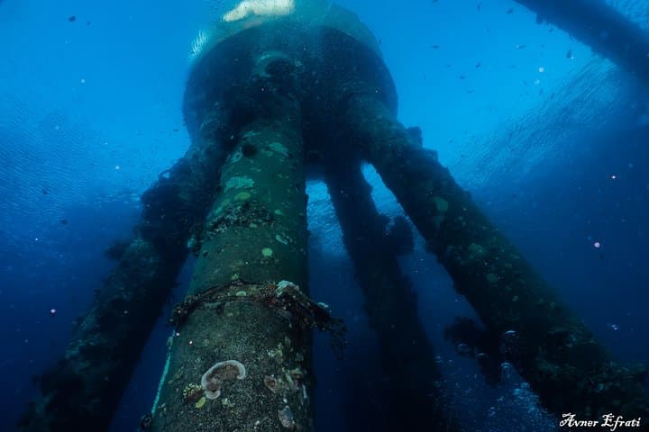 Guided Red Sea Dive in Eilat: Coral Reefs & Shallow Wrecks for Certified Divers photo 4