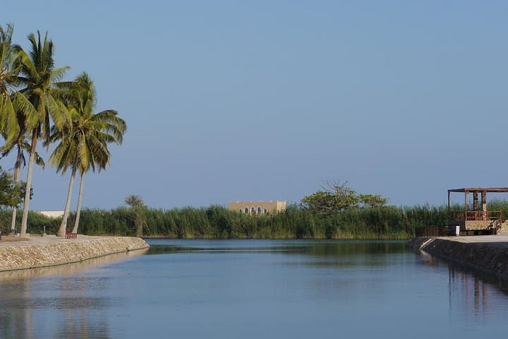 Salalah City Private Tour: Frankincense Markets, Mosques & Coastal Lagoons photo 2