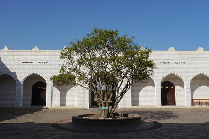 Salalah City Private Tour: Frankincense Markets, Mosques & Coastal Lagoons photo 3