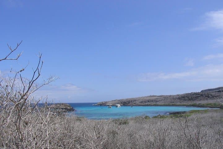 4-Day Galapagos Express: Santa Cruz Highlands, Tortuga Bay & Snorkel Tour photo 3