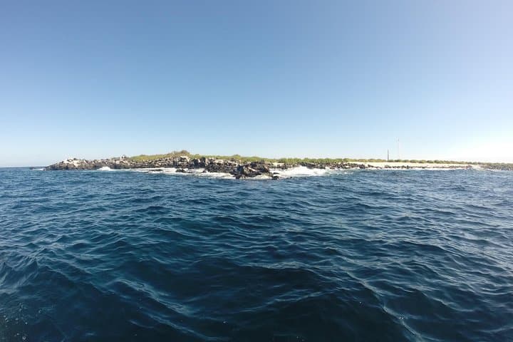 4-Day Galapagos Express: Santa Cruz Highlands, Tortuga Bay & Snorkel Tour photo 4