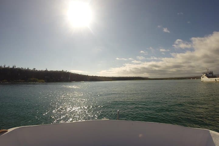 4-Day Galapagos Express: Santa Cruz Highlands, Tortuga Bay & Snorkel Tour photo 6
