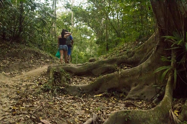 Trek to Cabo San Juan: Day Hike Through Tayrona National Park