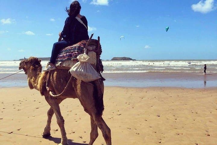 Marrakech to Essaouira Day Trip — Atlantic Winds, Medina Walks & Argan Oil photo 3