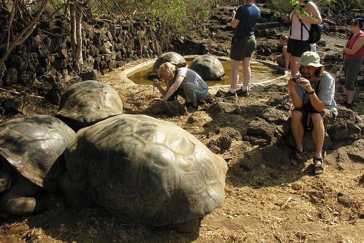 Galapagos Islands Explorer: 4–5 Day Santa Cruz Base with Yacht Excursions photo 2